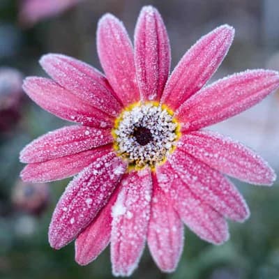 Cold snap breaks records but warmer days are on the way