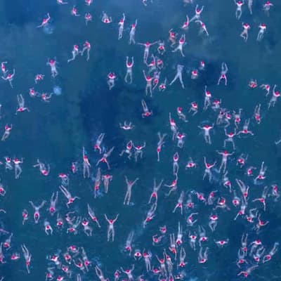 Hobart festivalgoers, Antarctic crew take icy dip