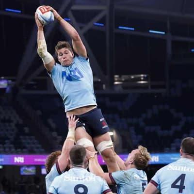 Harris shifts from Waratahs to Western Force