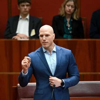 More pollies good for democracy, electoral experts say