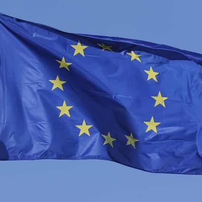 No, the European Parliament has not declared COVID-19 a fraud