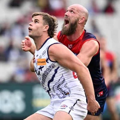 'Insular' Dockers buoyed by Sean Darcy return