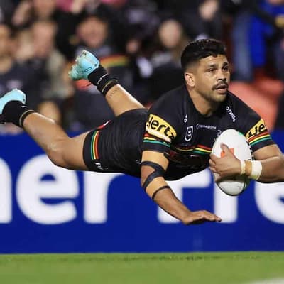 Understrength Panthers suck the life out of Knights