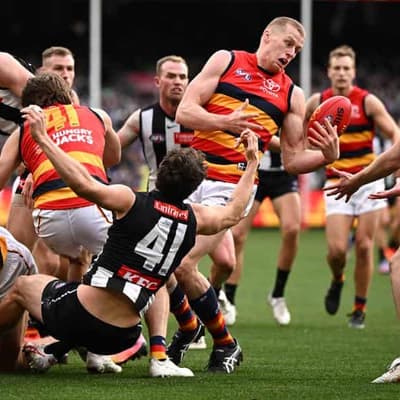 AFL concedes umpires missed Crows free kick vs Pies