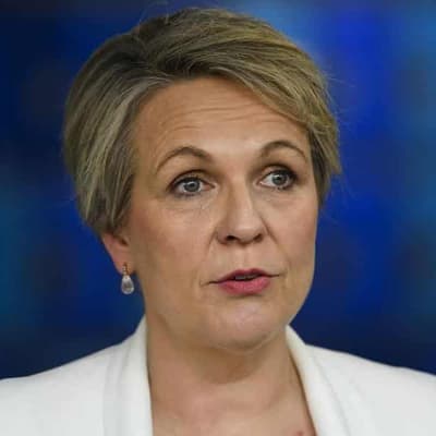 'Nature positive' laws in Australia's future: Plibersek