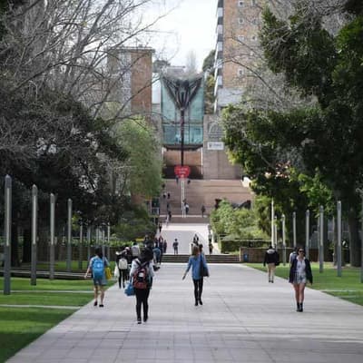 Education programs 'undermined' by lack of assessment