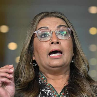 'Academic' expert concerns Hanson's team in Faruqi suit