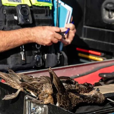 Hunters accused of burning culturally significant trees