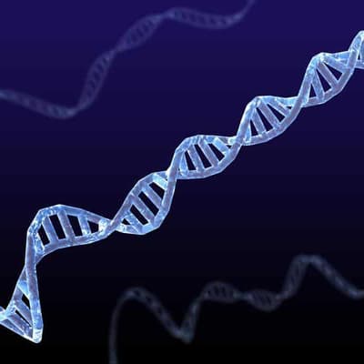 Insurance fears stops people having life-saving tests