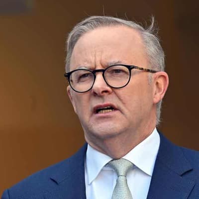 Albanese spruiks larger-than-expected budget surplus