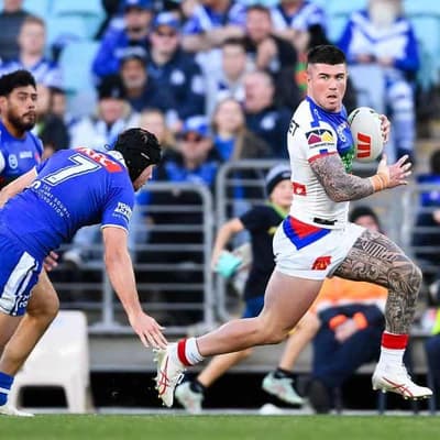 Knights ease pressure on coach with huge win over Dogs