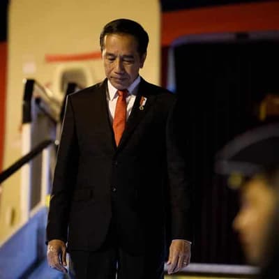 Trade, visas and tigers on agenda for Widodo visit