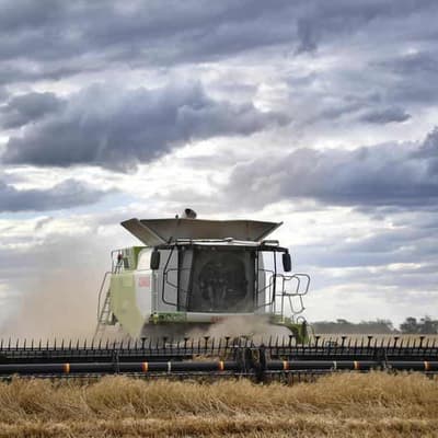 Facebook users harvest misinfo with WA legislation claim