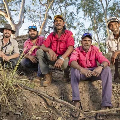 Motion sensor cameras show cane toads on the march