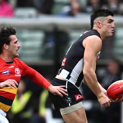 Maynard joins Mihocek on Collingwood casualty list