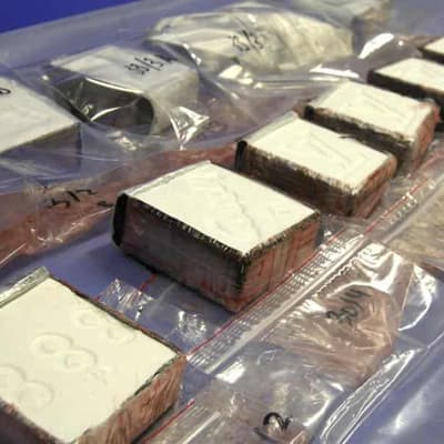 Businessman was chasing 'Chinese money' in container