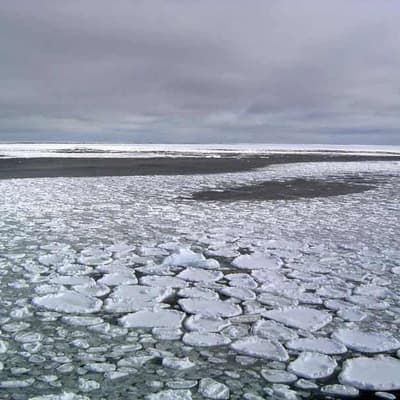 Earth hits unofficial record high temperature