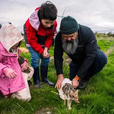 Traditional owners reintroduce previously-extinct quoll