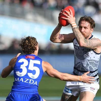 Cats return to AFL top eight with easy win over North