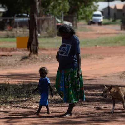 Experts deem blanket restriction claim as patchy at best