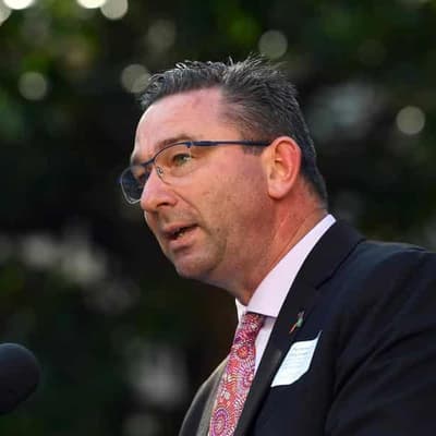 Review ordered for care system of Qld's vulnerable kids