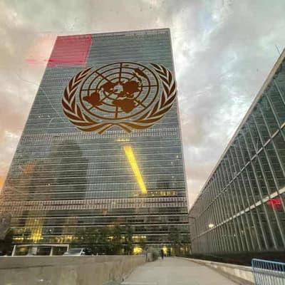 No, the UN has not called for the legalisation of pedophilia
