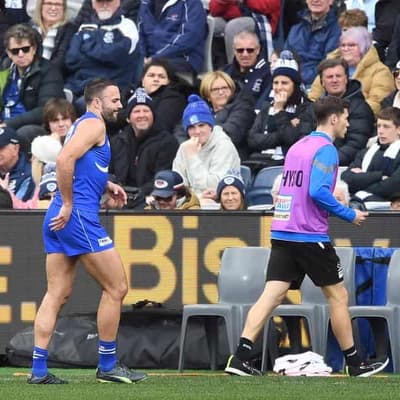 North Melbourne defender Logue ruptures ACL