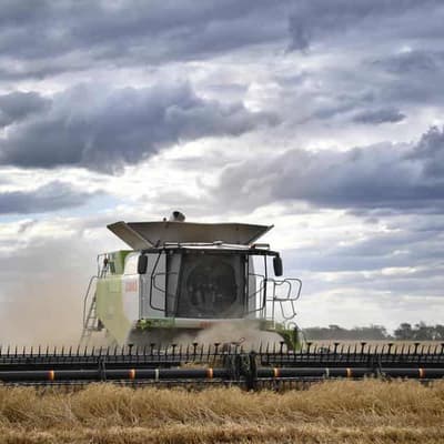 Farmers better at managing downside of climate change