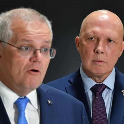 Dutton backs Morrison to make call on political future