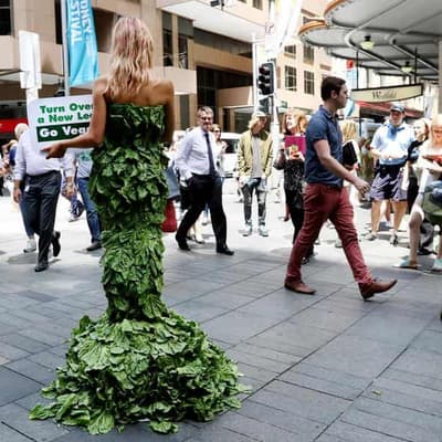 Charges after activists storm restaurant banning vegans