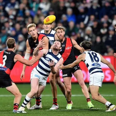 Ruthless reigning premiers Geelong crush Essendon