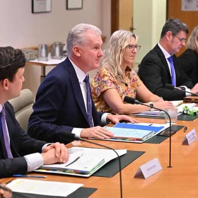 Construction union urges speedy ban of stone benchtops