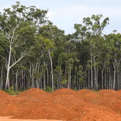 Land-clearing slows but Great Barrier Reef fears remain