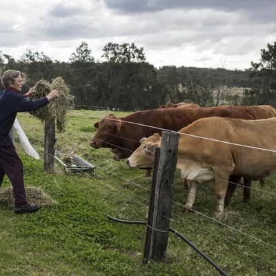 'Fierce' farmer and environmentalist Wendy Bowman dies
