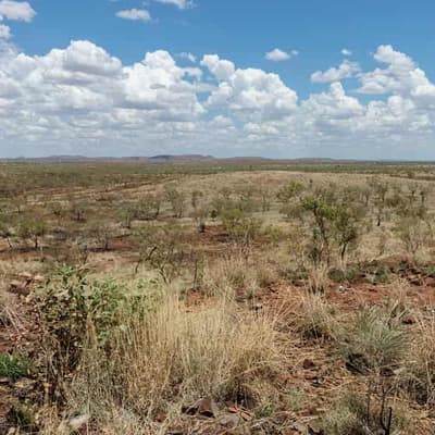 Tribal punishment theory at Indigenous man's inquest