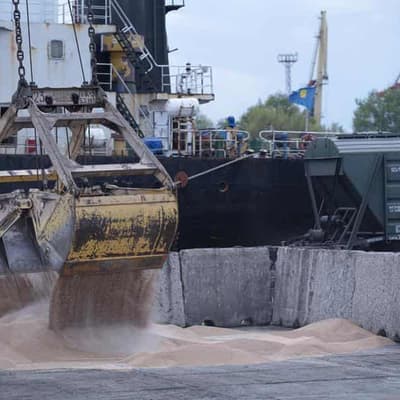 Russian strikes on Ukraine drive up global grain prices