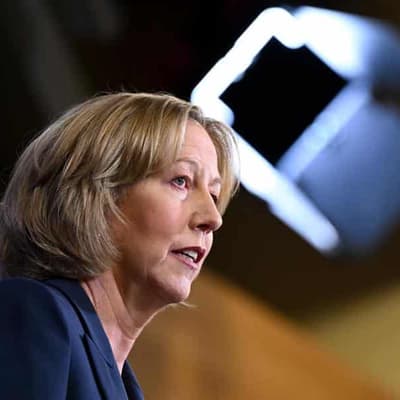 Woodside hits out at protest-bid arrests at head's home