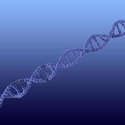 DNA link catches man 28 years after abduction, rape bid