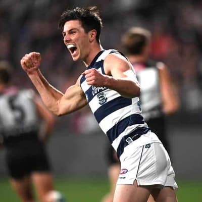 Cats' AFL flag defence alive after tight win over Power