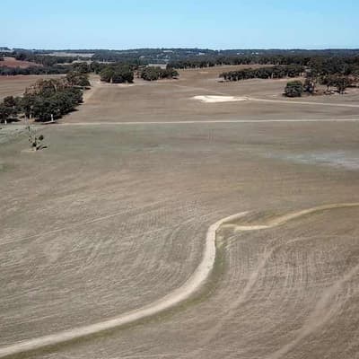 Trade minister writes to China to end barley snub