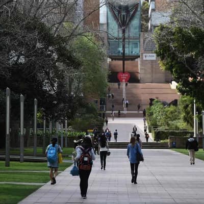 Uni body warns $7b at risk without more graduates