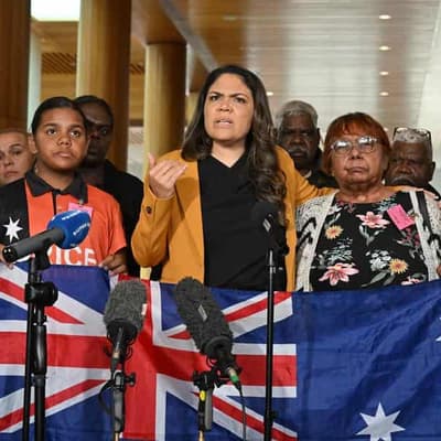 Voice pamphlet's convention claim misleads