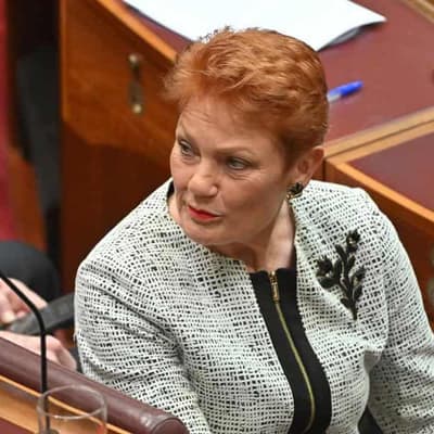 Hanson wrong to say MPs would have to consult the voice