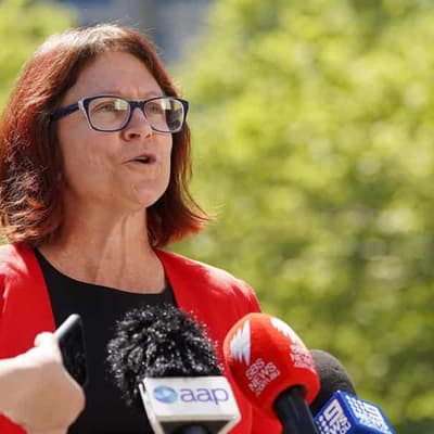 Family law changes will protect women, children: expert