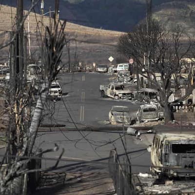 Maui death toll rises to 106 as fire recovery continues