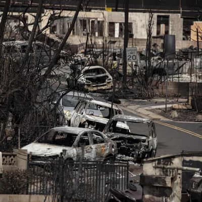 Biden to visit Maui, fire death toll reaches 110