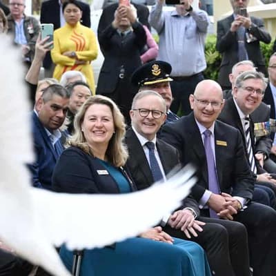 Vietnam veterans thankful for closure 50 years on