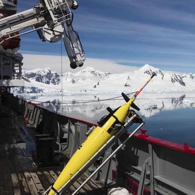 'Urgent' need to boost monitoring in Southern Ocean