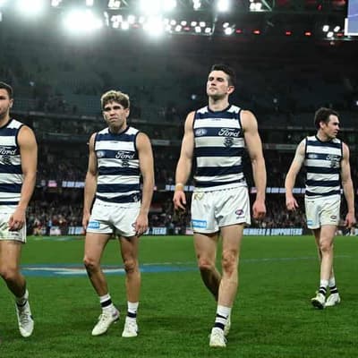 Cats don't need to rebuild, coach Scott says