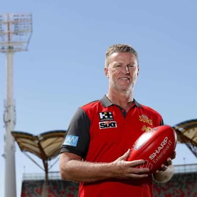 Suns have '80 per cent' of flag team: Damien Hardwick